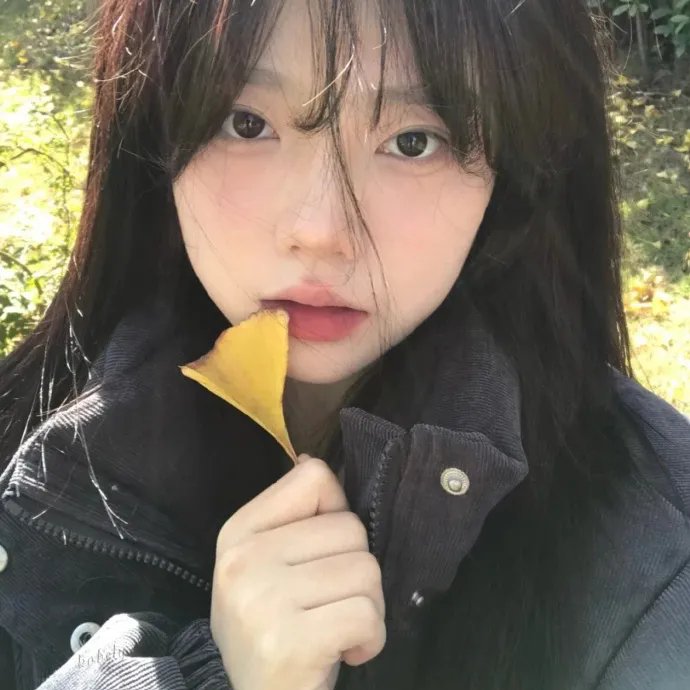 徒然喜欢你